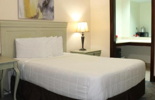 New Orleans Hotel | The Prytania Park Hotel