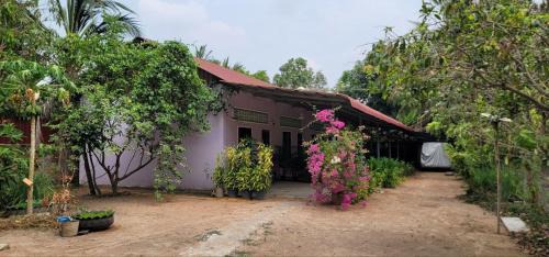 Siem Reap House | The Purple House
