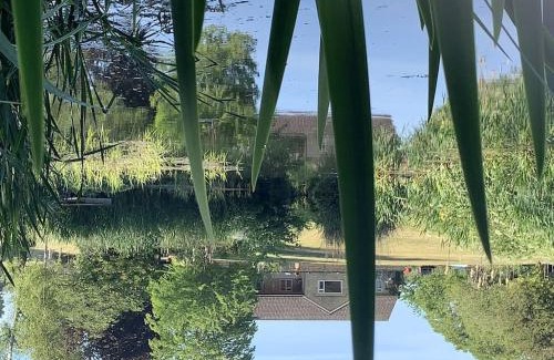 Langport House | The Quackery