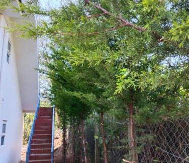 Ooty House | The Ravishing Valley