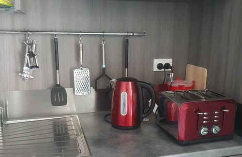 Matamata Bed & Breakfast | The Red ShednLarge modern studio on two peaceful acres, two minutes from CBD