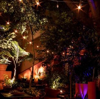 Hipodromo Bed & Breakfast | The Red Tree House