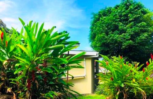 Anse aux Pins Apartment | The Reef Palm