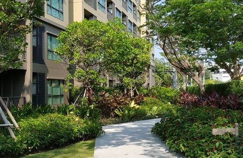 Cha-am Apartment | The Relaxing Room Pool Access at Rain Resort Condominium Cha Am- Hua Hin