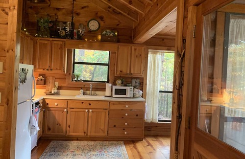 Murphy Cabin | The Rivercane Cabin - Weekly disc, cozy, private, view, 1 mile to JCC Folkschool