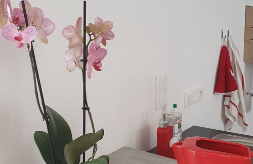 Vienne House | The rooms of Vigealieres 2