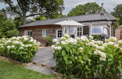 Alresford House | The Roost