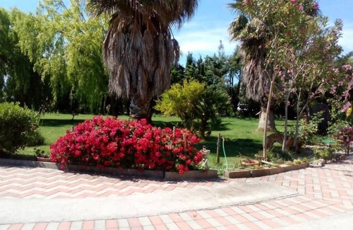 Olmedo Apartment | The Rose Garden - An oasis of peace in the green