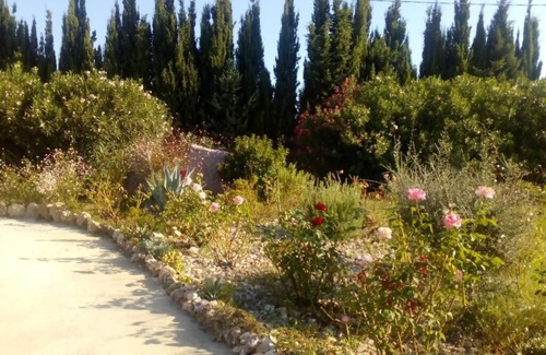 Olmedo Apartment | The Rose Garden - An oasis of peace in the green