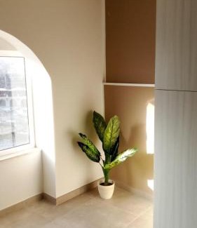 St. Julian's Hostel | The Rose Hostel