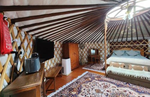 Great Horkesley Apartment | The Roundhouse Yurt