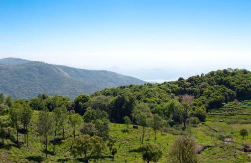 Kotagiri Hotel | The Royale Ridge