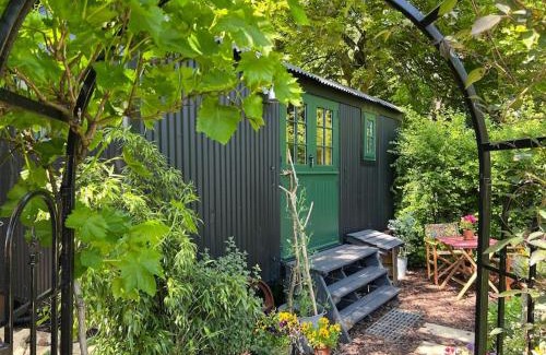 Wingfield Other | The Rumple Hut