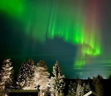 Rovaniemi House | The Saunacabin Enchanted Lapland