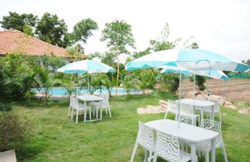 Palakkodu Hotel | The Savoy Farmstay