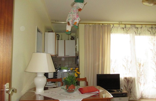 Hohegeiß Apartment | The Schütz vacation apartment is perfect for enjoying the peace and quiet of the Harz Mountains