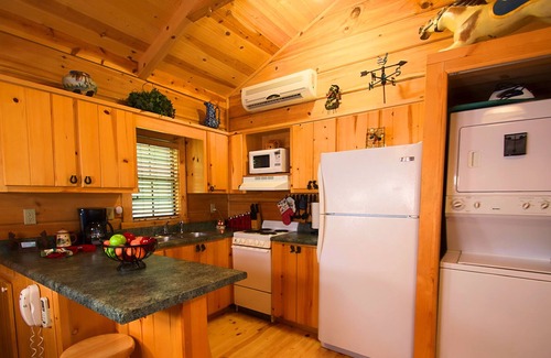 Coalmont Cabin | The Seedling - Log Cabin in the Woods