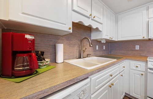 Cedar Key Condo | The Skimmer Condo: Downtown on the Bay - Nature Views - Bird watching