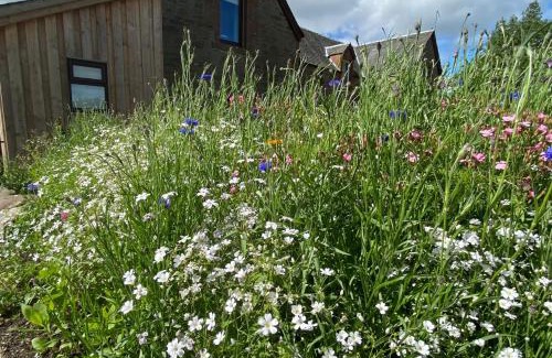 Auchterarder House | The Smiddy House