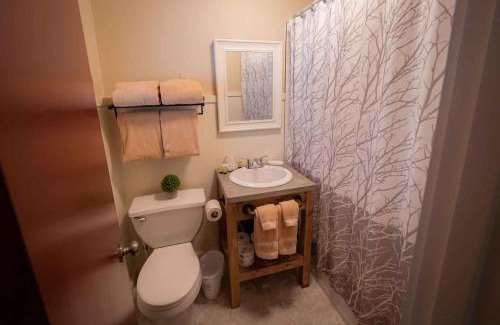Lake Placid Hotel | The Snowshoe Lodge