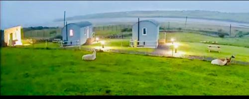 Ballyshannon Apartment | The Snuggly Sheep Shepherd Hut Campview Farm Stay