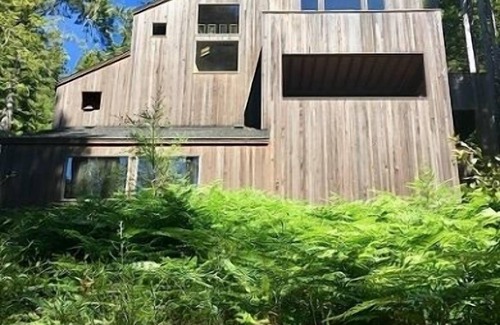 Sea Ranch House | The Sonoma Treehouse (3-Bedroom Home) - Pets Allowed by RedAwning