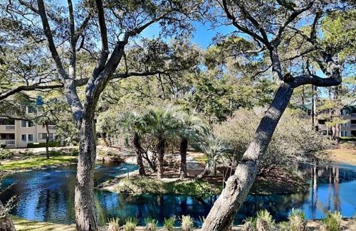 Palmetto Dunes Apartment | The Spa 1219