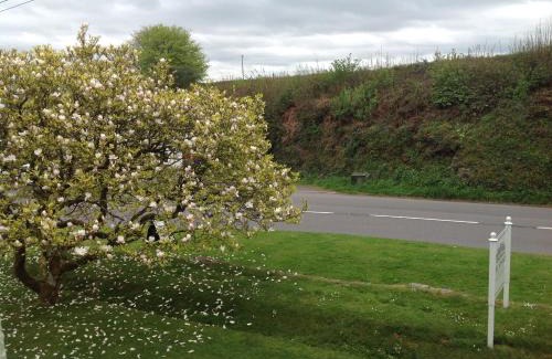 Barnstaple Bed & Breakfast | The Spinney