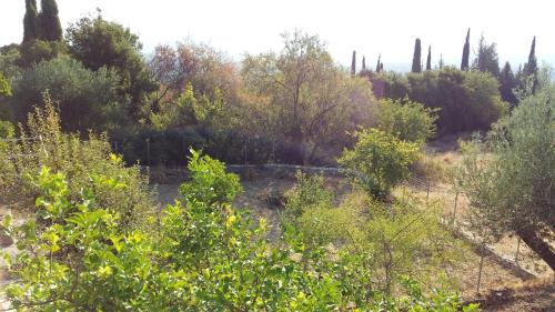 Poulata House | The Stone House-Zacharatos Nikolaos