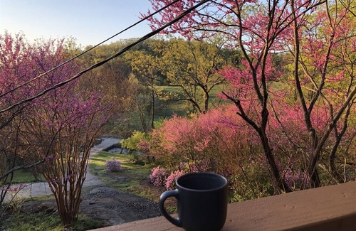 Stanardsville Cabin | The Stream Song Cabin
