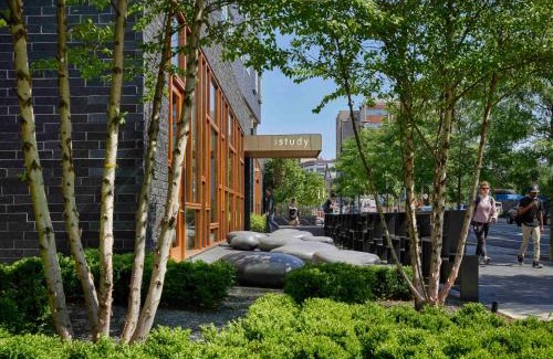 University City Hotel | The Study at University City, Study Hotels