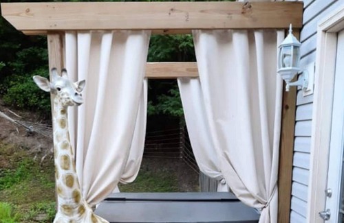 Wilkesville House | The Suite at The Ridge