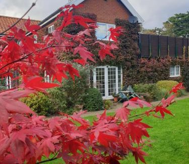 Norwich Bed & Breakfast | The Summer Room