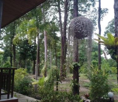 Ko Lanta House | The Sun Long Beach Resort