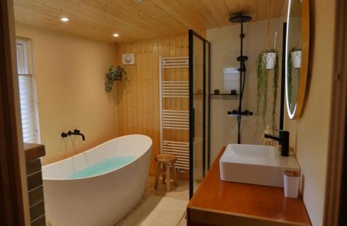 Diessen Ski Chalet | The Sunbird Inn - with luxurious bathroom
