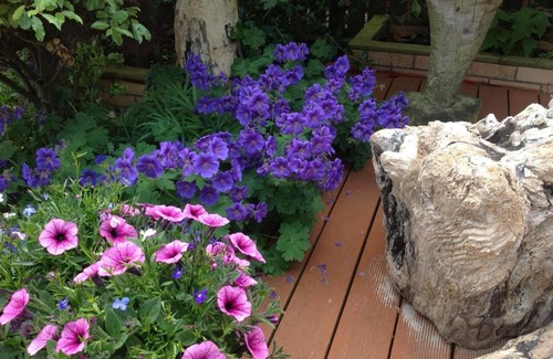 Woodhorn Bed & Breakfast | The Swallows Retreat B&B - Druridge Bay