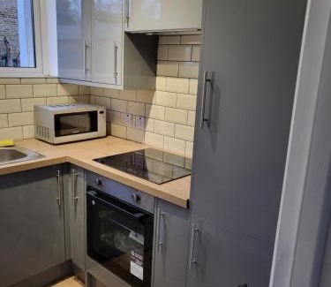 Crystal Palace Apartment | The Sydenham Snug