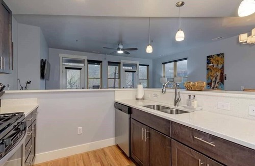 Salida Condo | The Takeout @ The River Lofts-Brand New loft style condo's , downtown Salida on the River!
