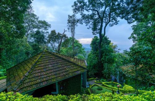 Devikolam Resort | The Tall Trees