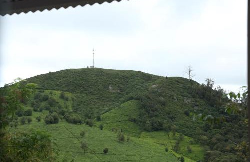 Ooty Bed & Breakfast | The Tamarillo