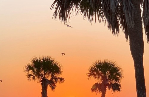 Tarpon Springs House | The Tarpon House - Orange St
