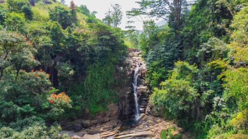 Nawalapitiya Hotel | The Tea Cottage Resort & Spa