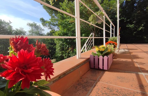 Palombina Nuova House | THE TERRACE OF NEGRITA