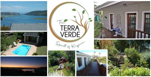 Paradise Apartment | The TerraVerde
