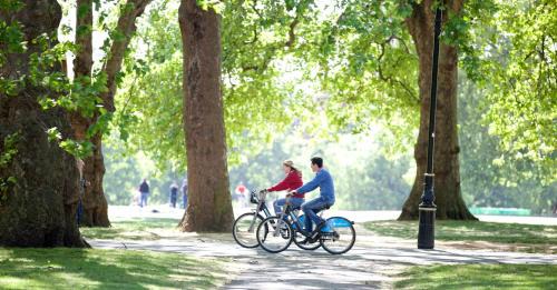 Bryanston and Dorset Square House | The Tranquil Den - Regent's Park - by Frankie Says