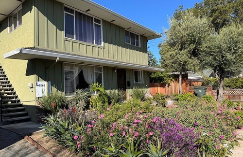 College Terrace Apartment | the tranquility of a serene stroll just two blocks from Stanford University.
