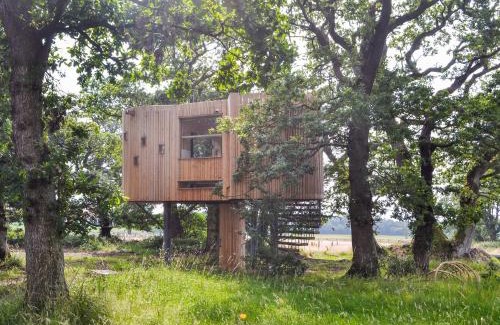 Bankend House | The Treehouse Caerlaverock - Uk45028