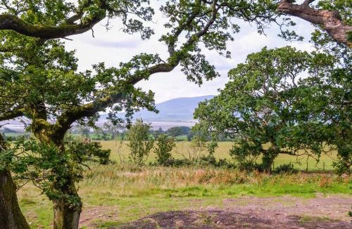 Bankend House | The Treehouse Caerlaverock - Uk45028