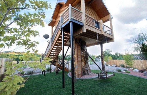 Orderville Cabin | The Treehouse Summary