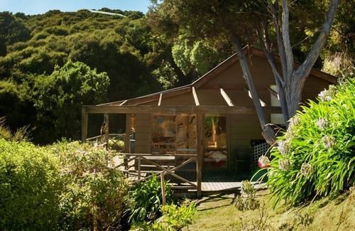 Akaroa House | The Treehut: perched in the Bush with bird song